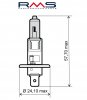 Žárovka RMS 246510030 12V 55W, H1 modrá