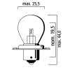 Žárovka RMS 246510476 FLOSSER 6V 15W sb 25 p26s