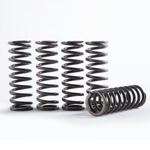 Sada spojkových pružin HINSON (replacement spring kit for H215)