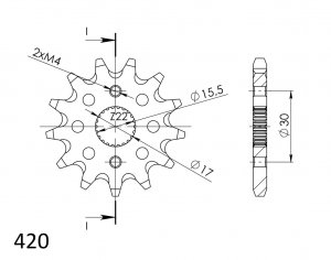 Řetězové kolečko SUPERSPROX CST-1256:13 13 zubů, 420