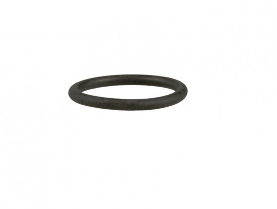 Swing arm bearing O-Ring RMS 100706282