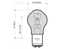 Lamp RMS 246510305 BA20D 12V 25/25W